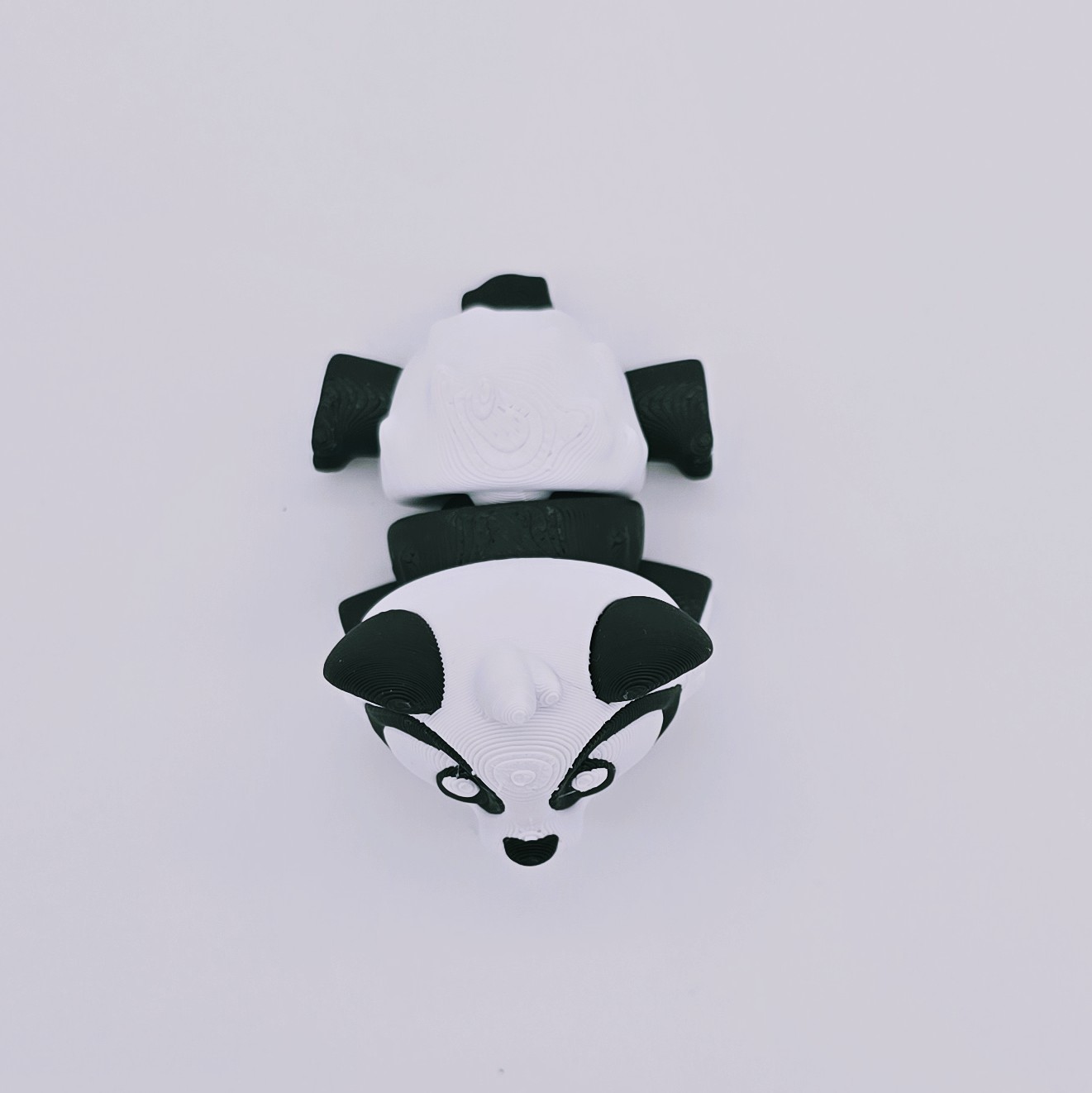 Panda Ansicht 6
